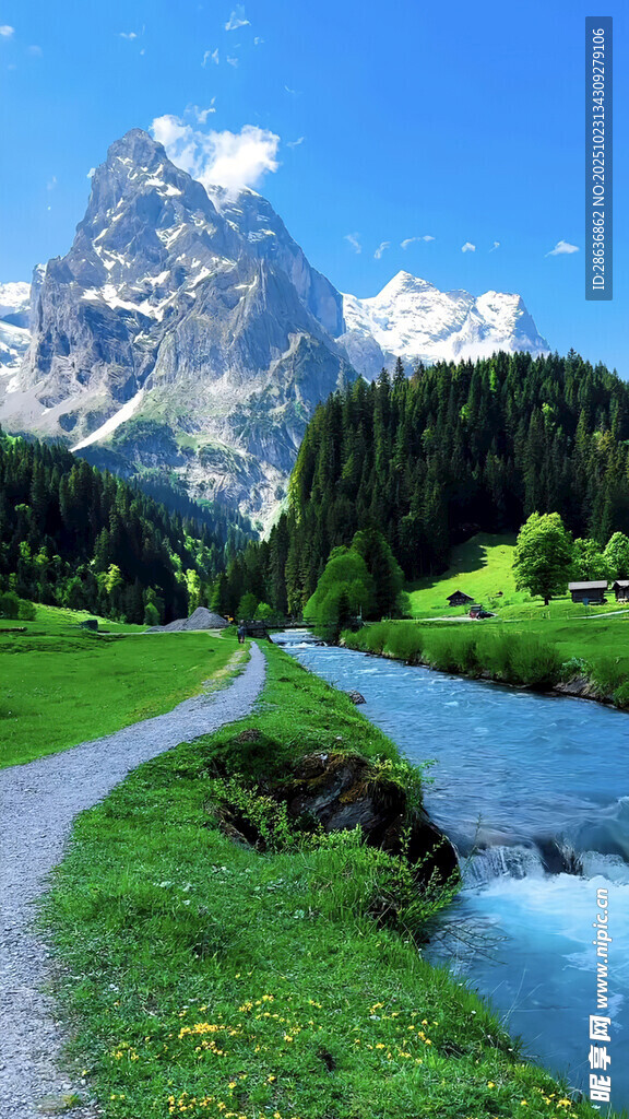 山间小路旁的秀丽自然风景