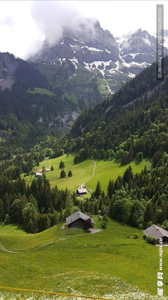 山间绿野中的静谧小屋