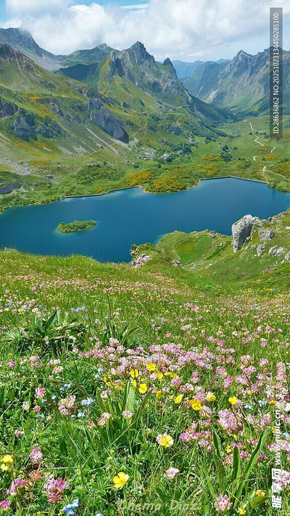 高山湖畔烂漫花海美景