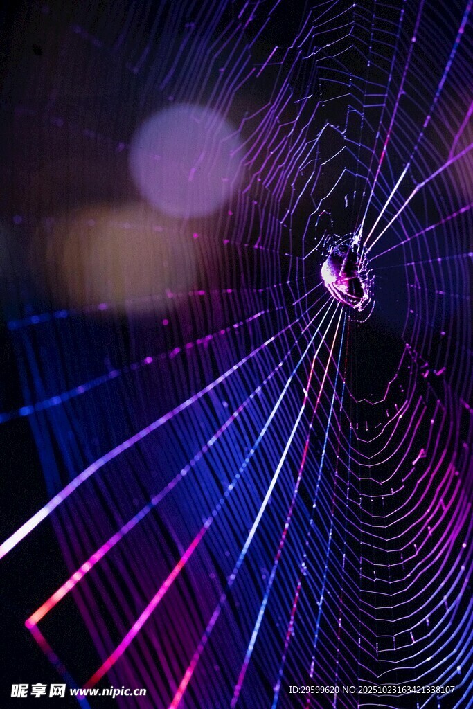 梦幻炫彩蛛网