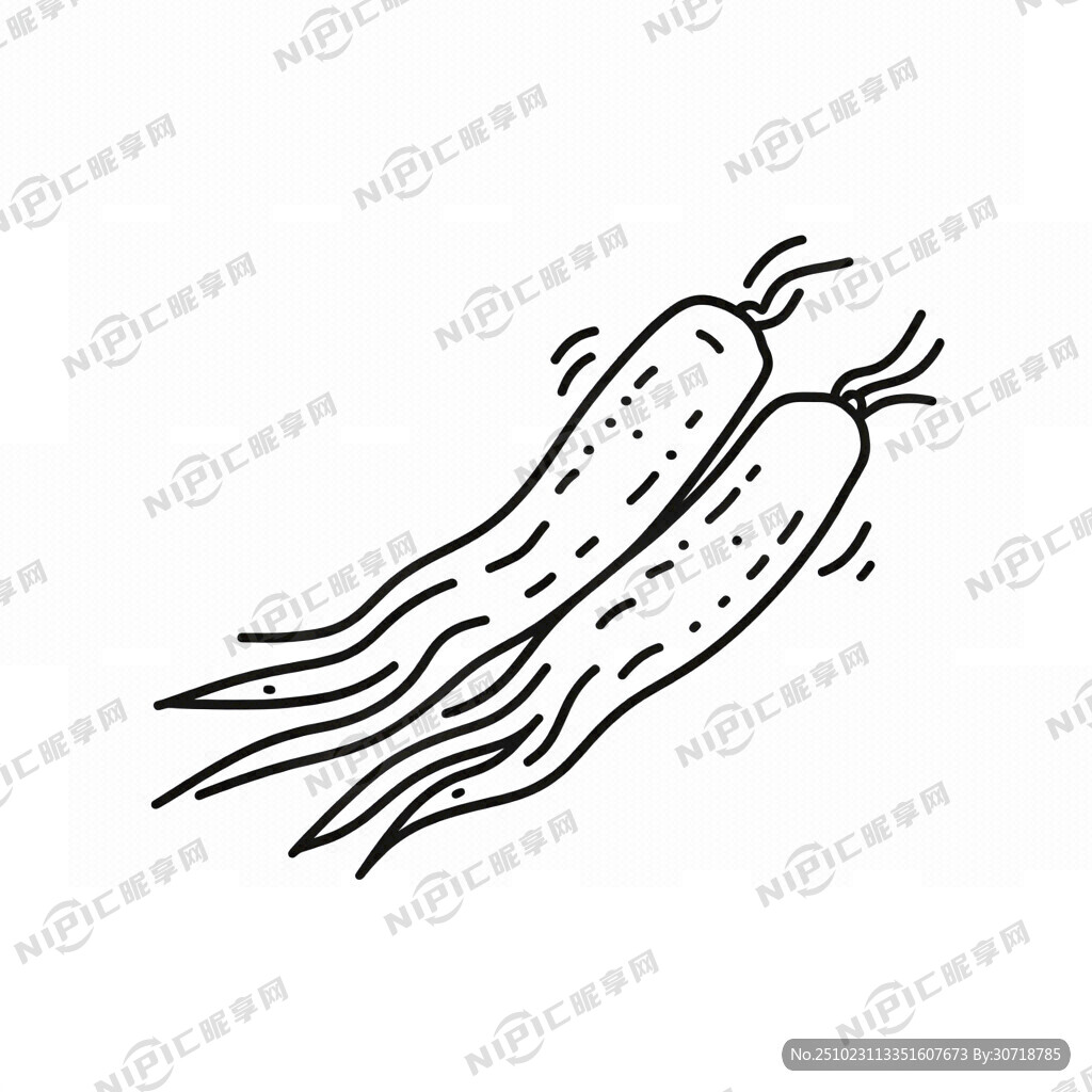 黄芪手绘