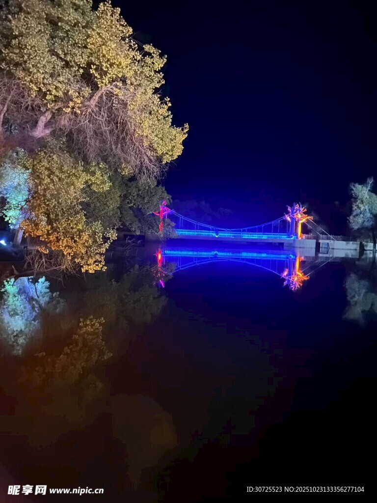额济纳胡杨林夜景