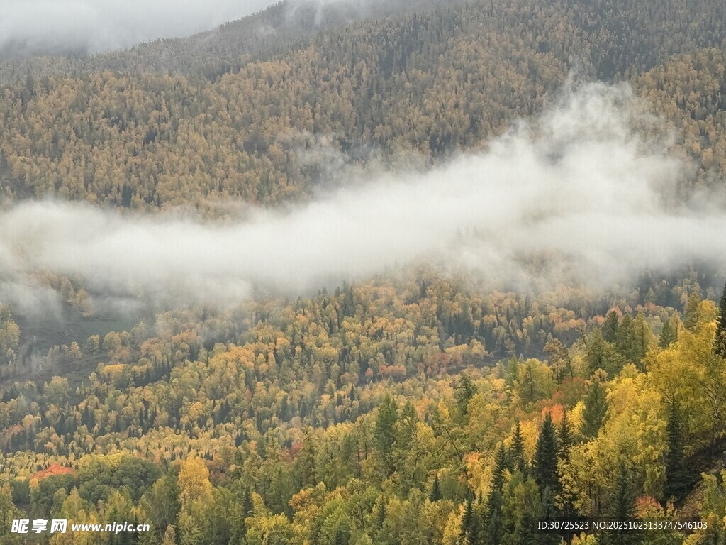 阿勒泰山间秋景云雾缭绕