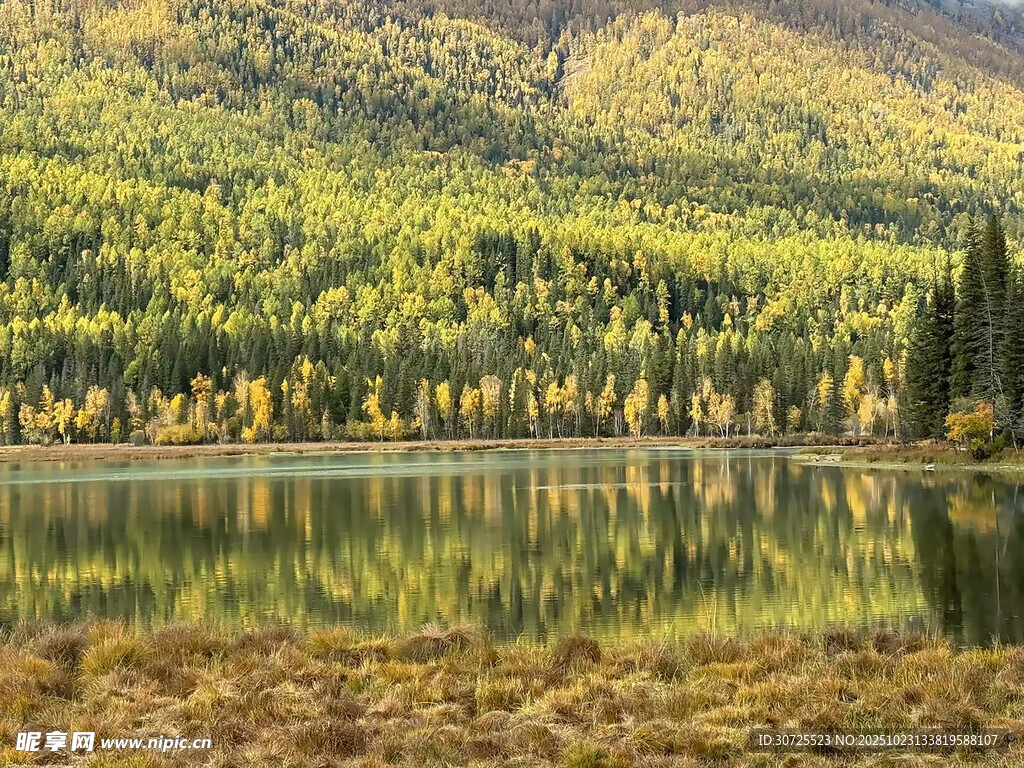 阿勒泰秋日山林湖畔