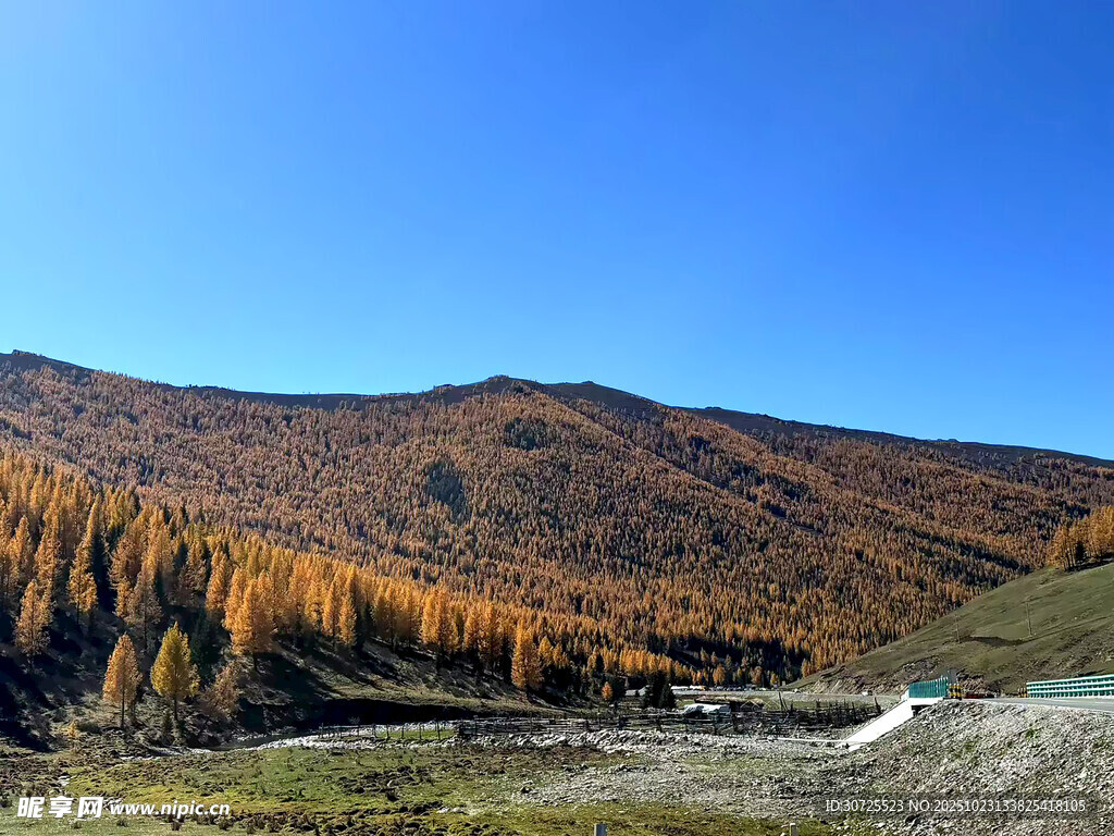 阿勒泰秋日山间美景