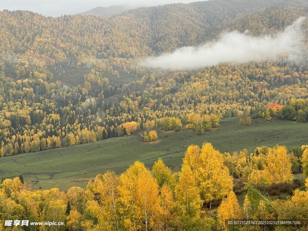 阿勒泰秋日山林美景