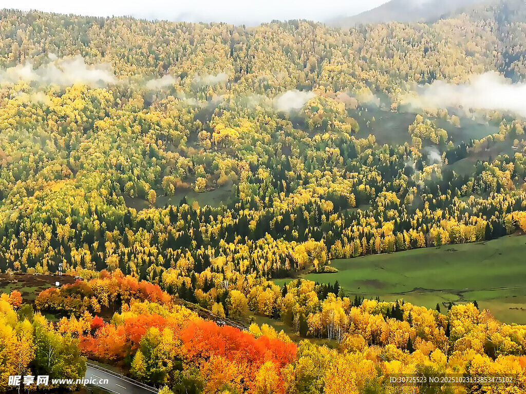 阿勒泰秋日山林斑斓美景