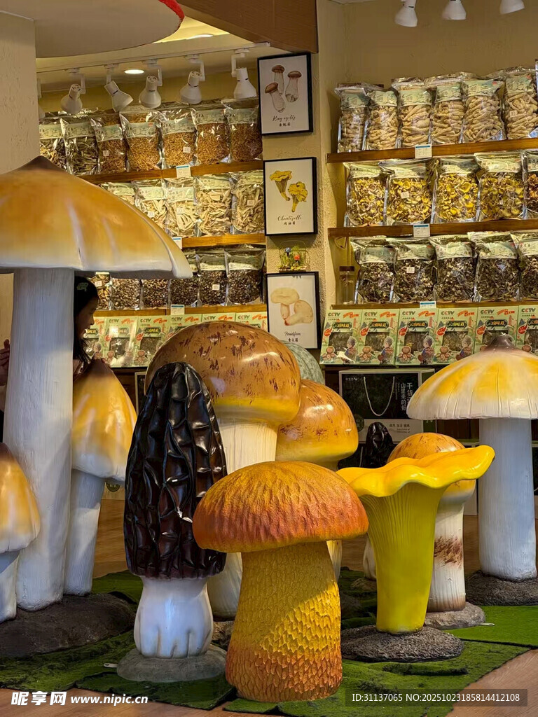 蘑菇造型装饰摆件展示