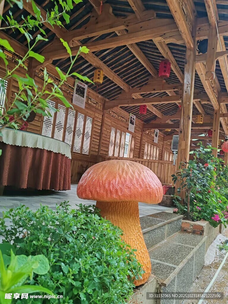 庭院中的巨型蘑菇景观