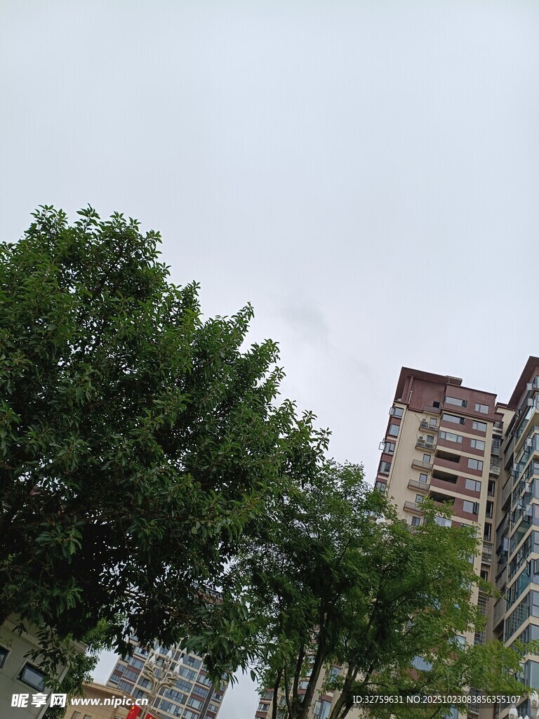 绿树掩映下的城市高楼