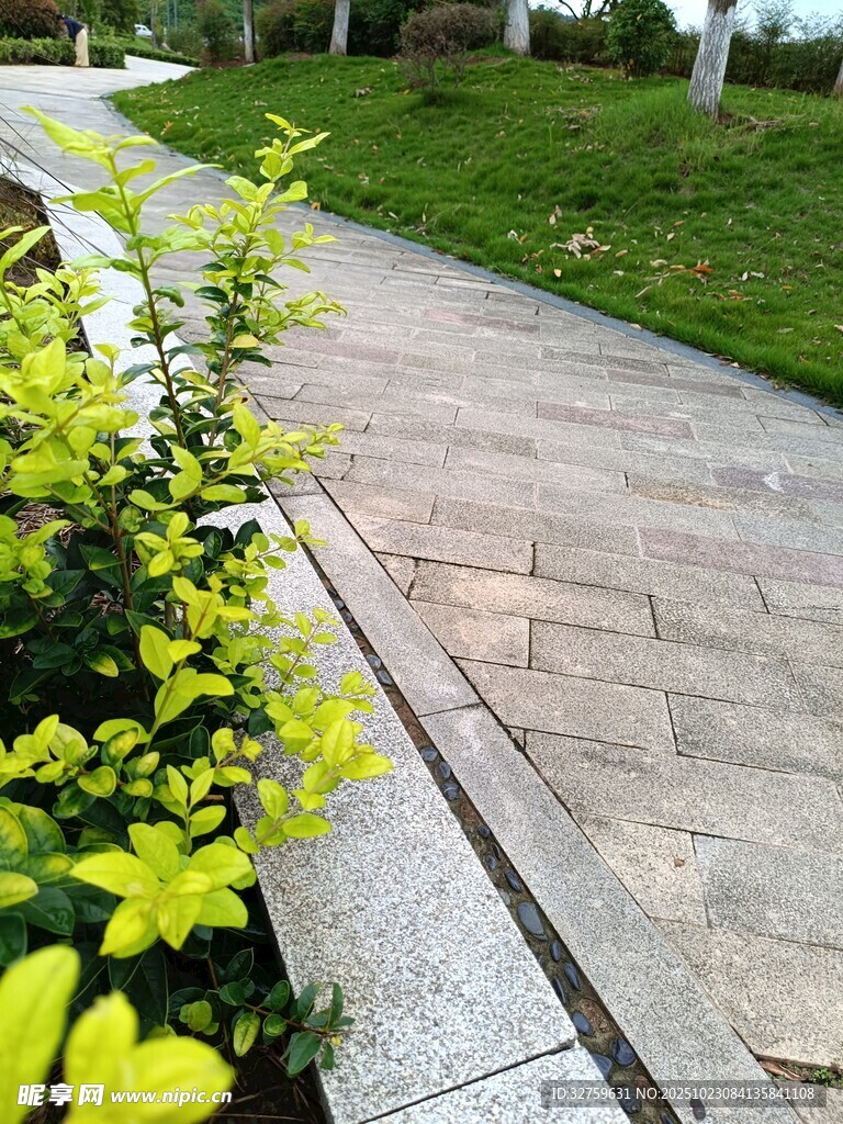 路边绿植与石板小径