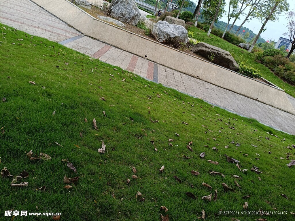 户外草坪与石板路景观