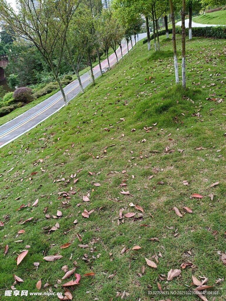 秋日林间小径