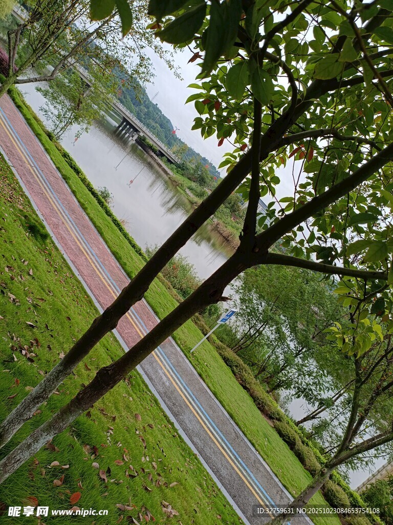 湖畔绿树环绕的步道风景