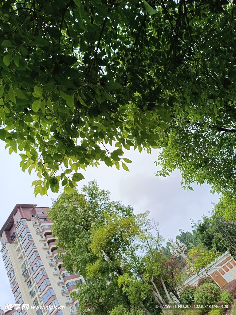 绿树掩映下的楼宇景观