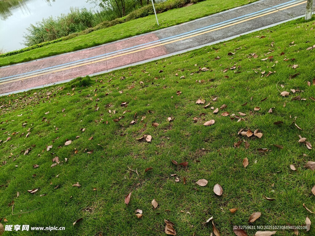 户外草地旁的彩色步道