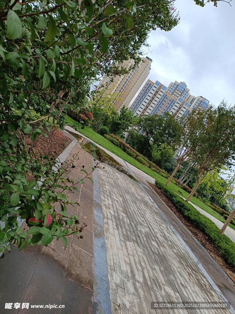 城市中的静谧绿化小径
