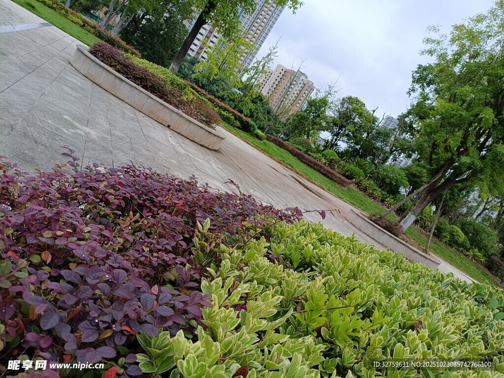 城市路边多彩绿植景观