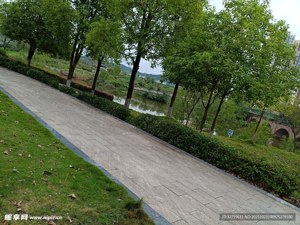 林间漫步道