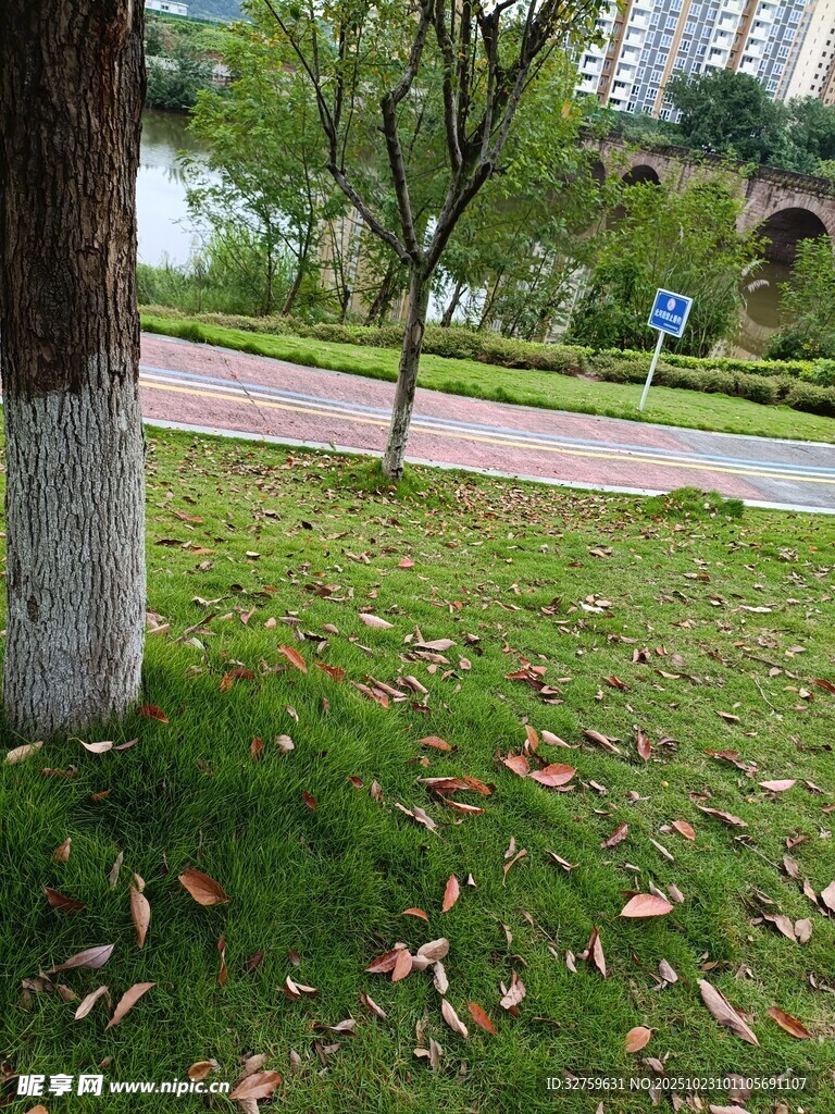 城市公园草地秋日景象