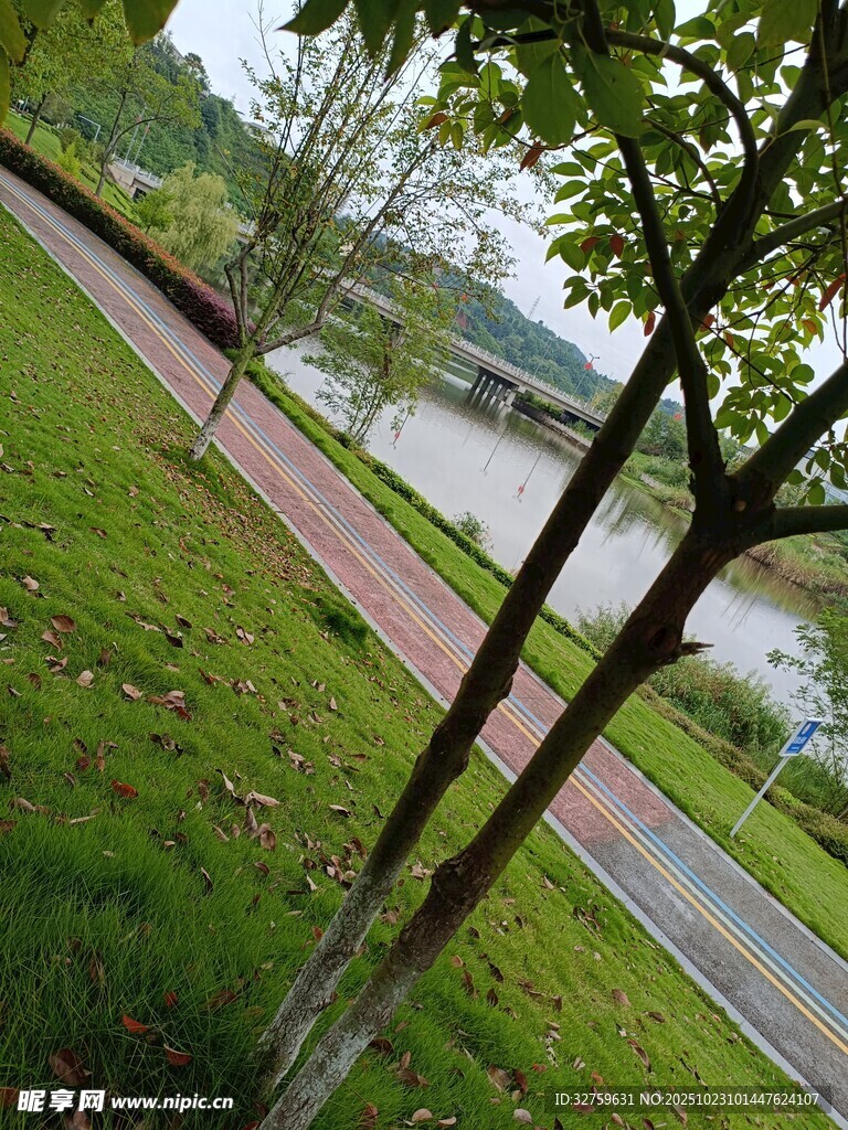 湖畔绿树环绕的步道风景