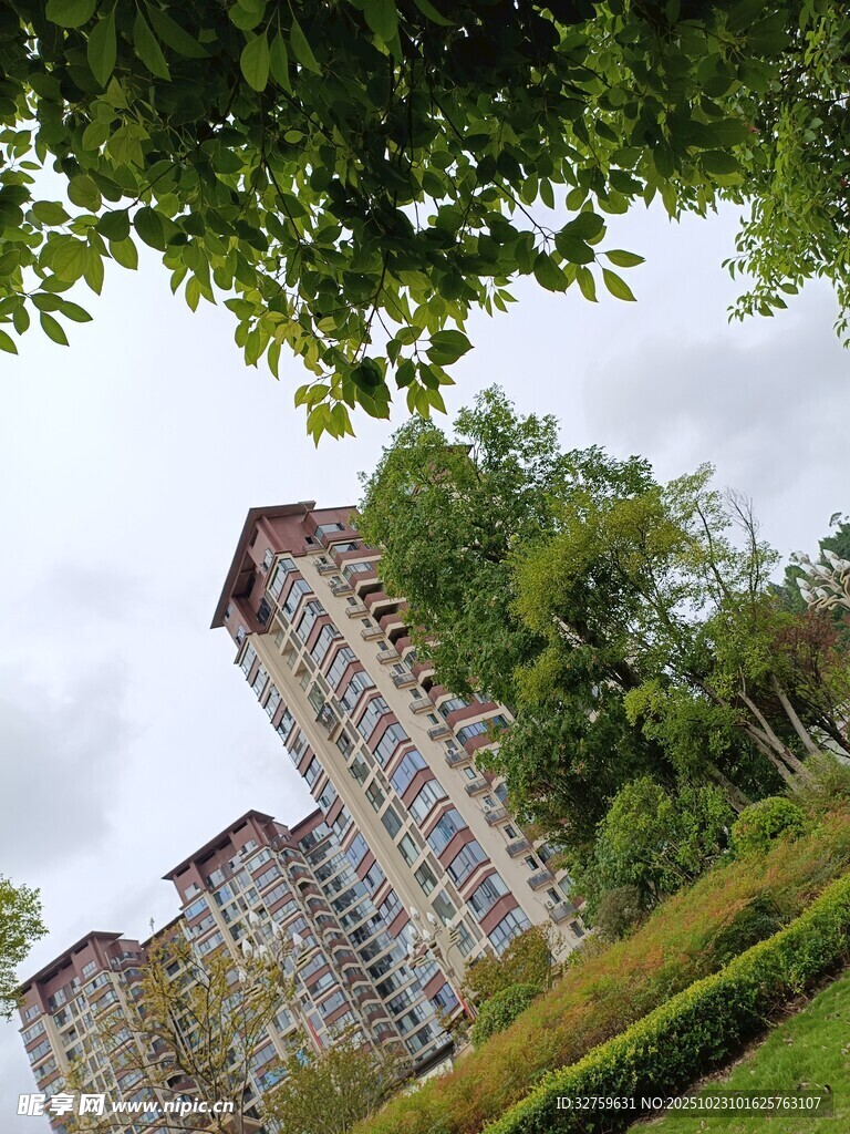 绿树环绕的高层住宅楼