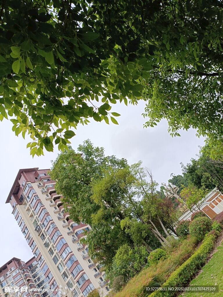 绿树环绕的现代建筑景观