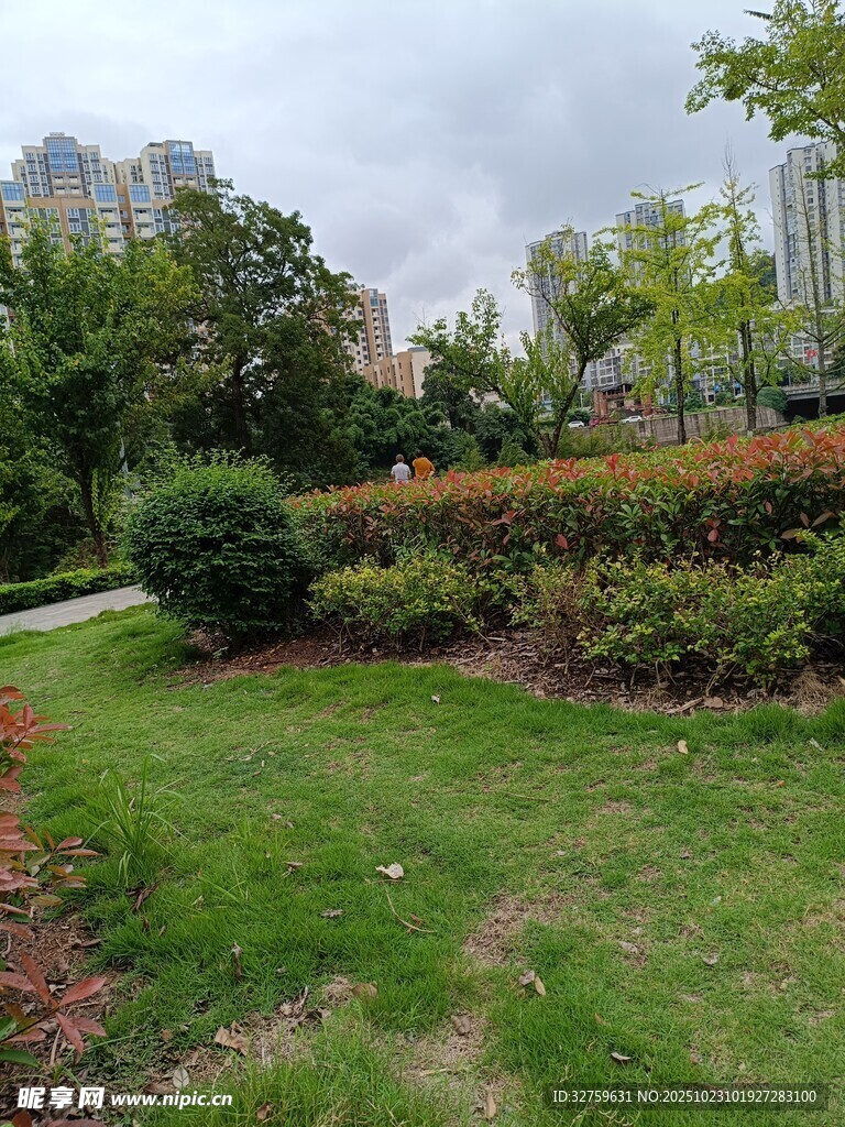 城市中的绿意盎然花园