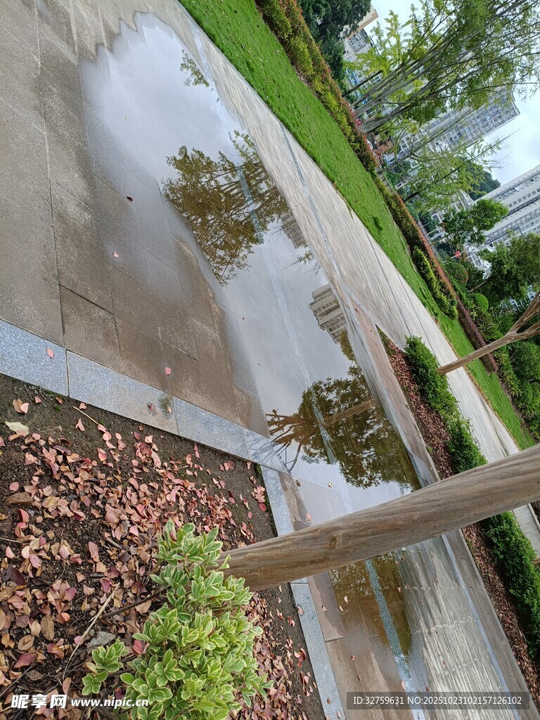 雨后庭院积水与绿植景观