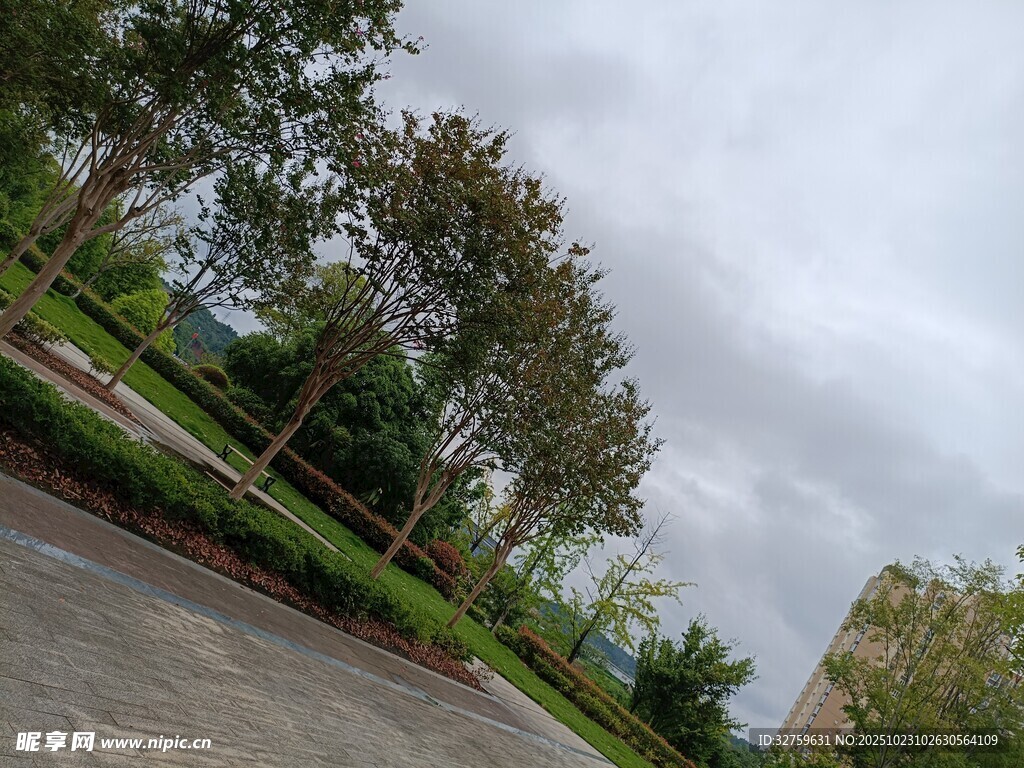 户外绿树成荫的道路场景