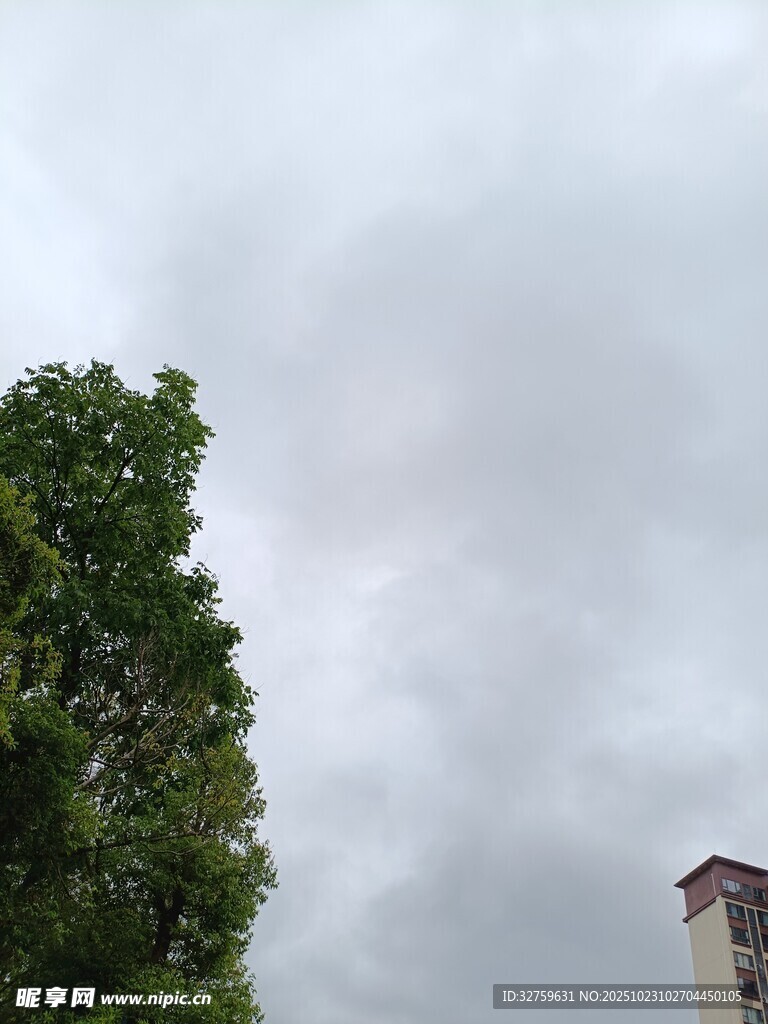 阴天时的绿树与建筑物