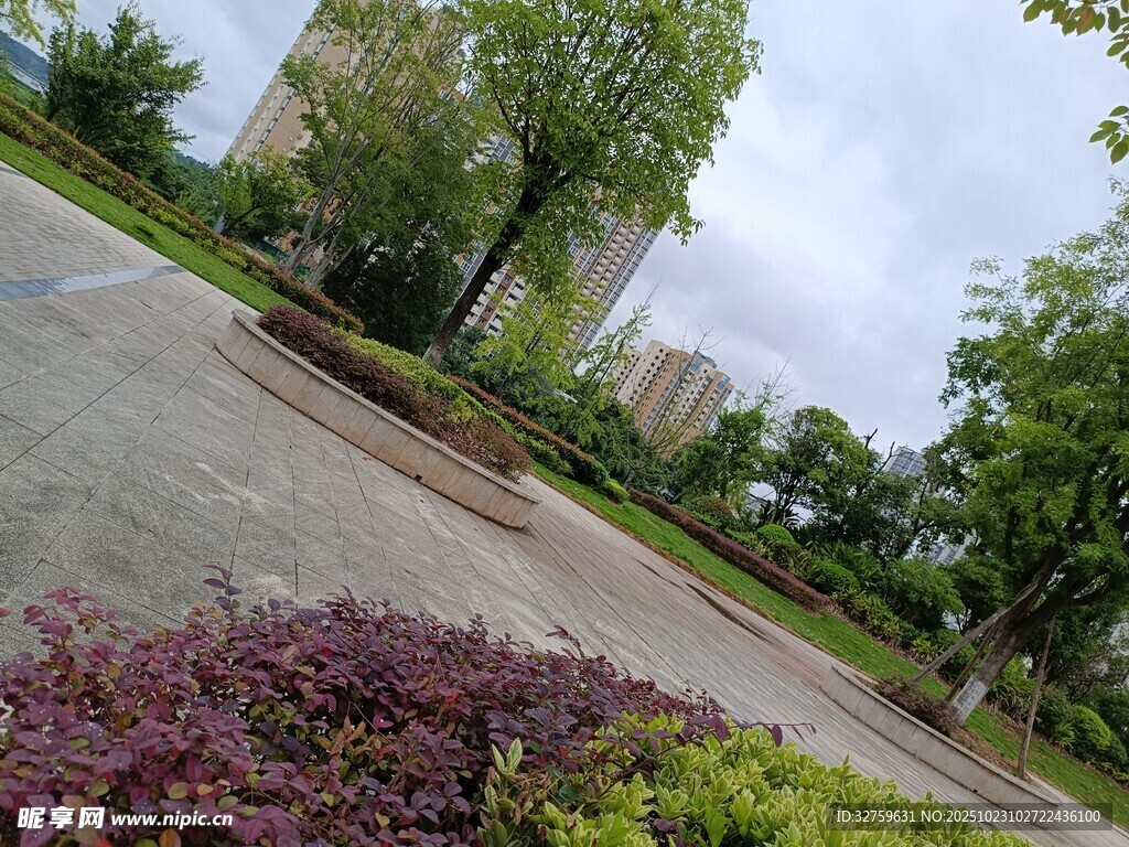 城市公园中的绿植景观