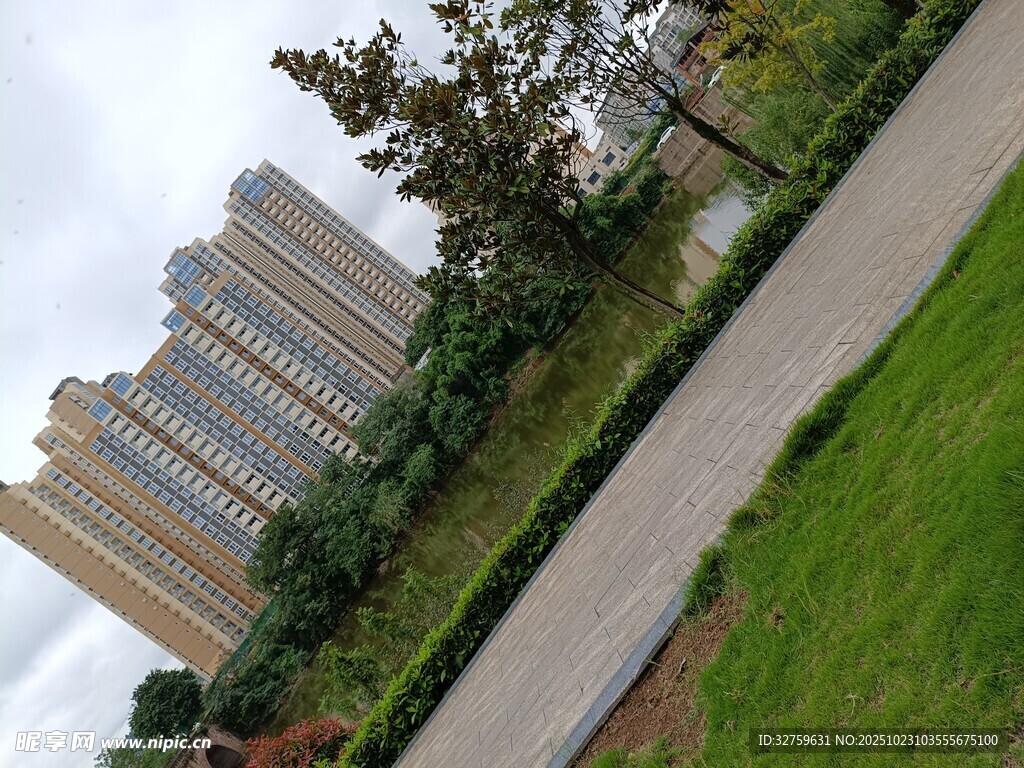 城市中高楼旁的绿地景观