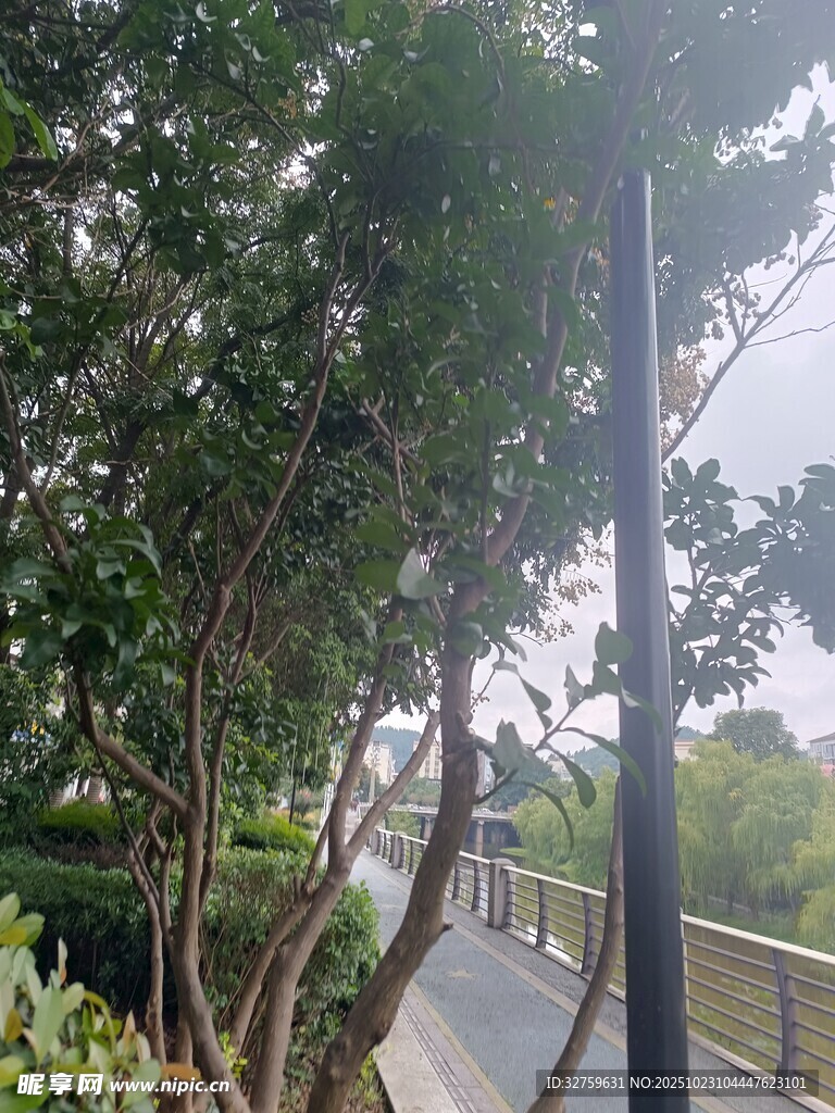 林间步道风景