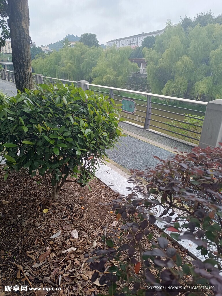 户外绿植旁的金属栏杆景观
