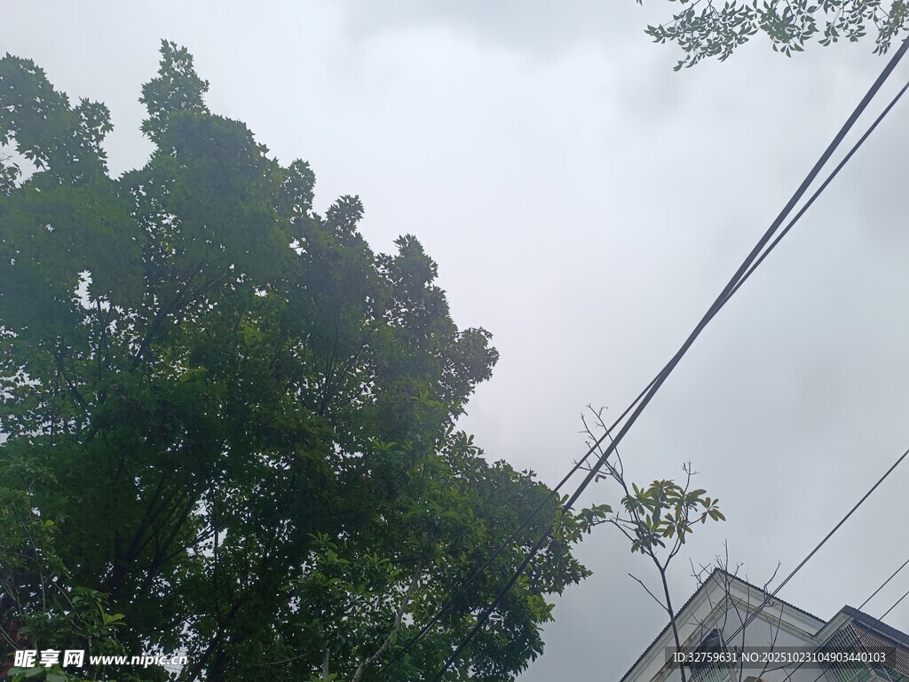 绿树与电线旁的建筑景象