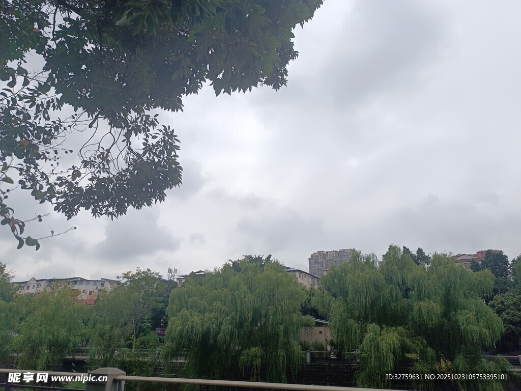 阴天河畔绿树风景