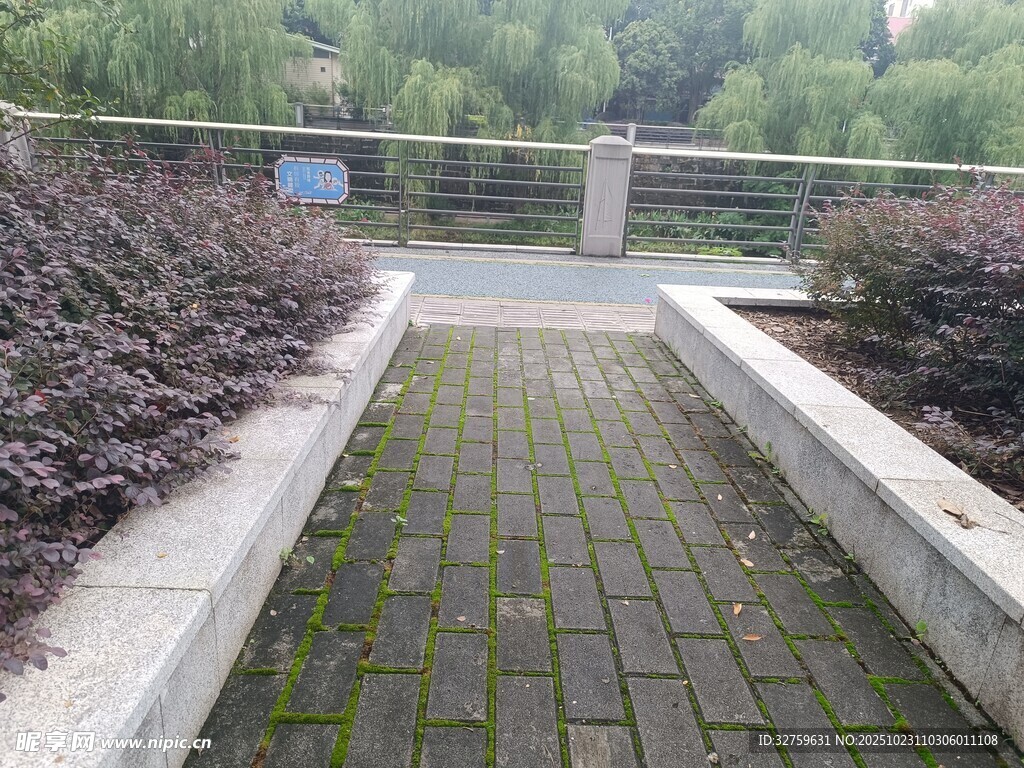 户外砖砌小径与绿植景观