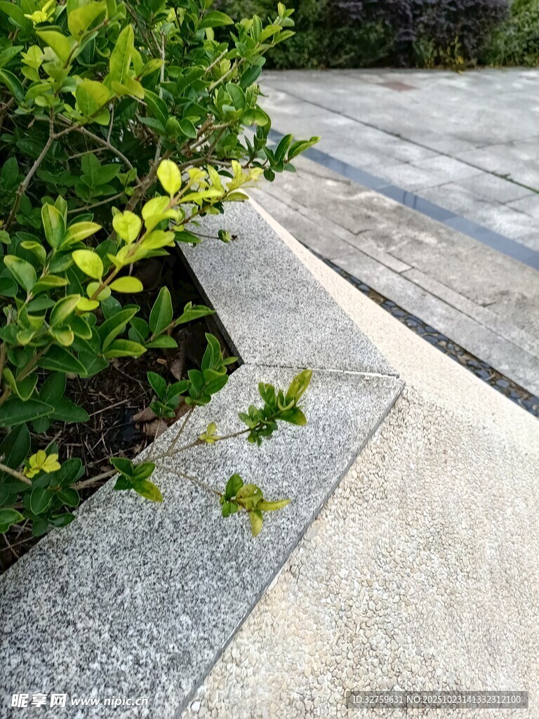 路边绿植与灰色步道景观