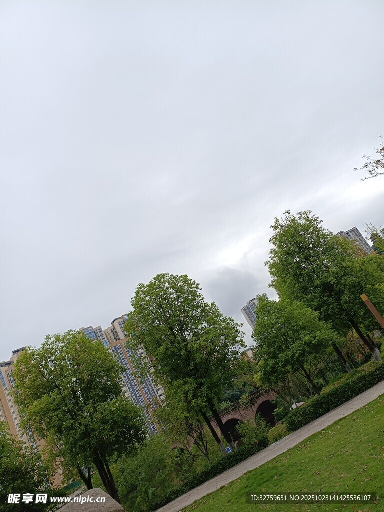 户外绿树草地景观