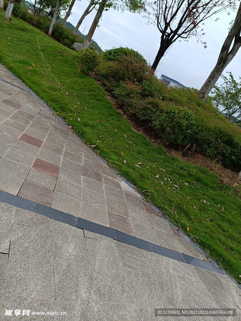 城市中整洁的绿地小径