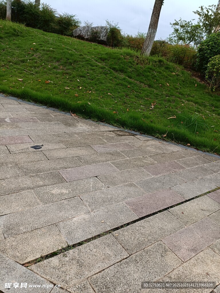 户外水泥路面与草地景观