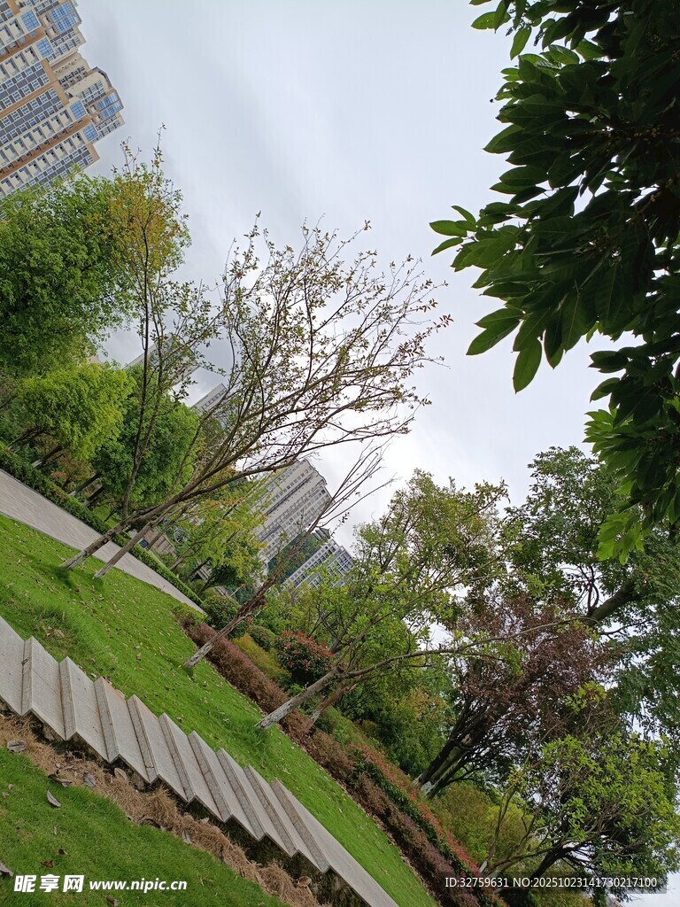 城市公园绿意景观