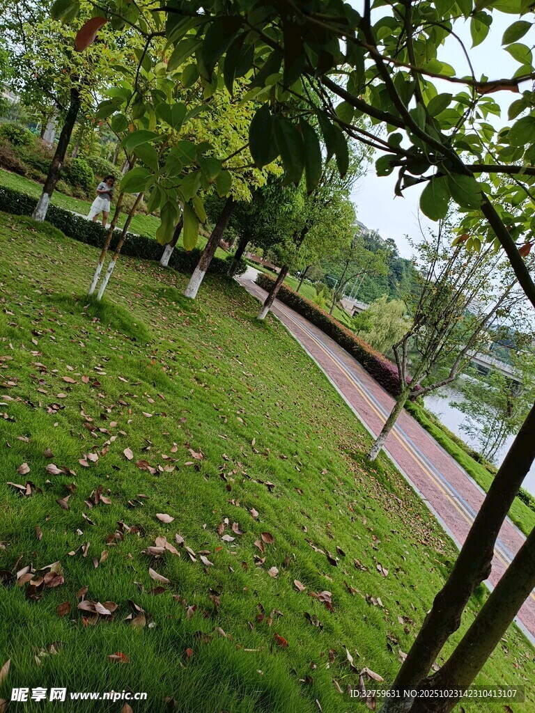 公园绿意小径风景