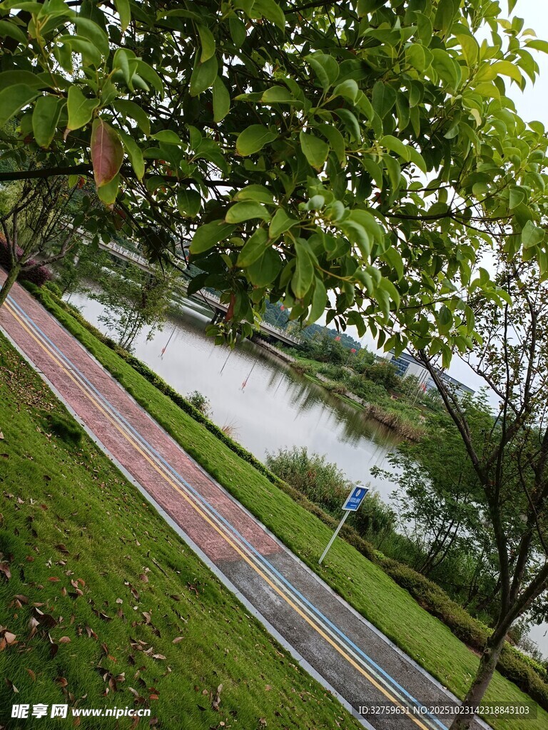 湖畔绿荫下的休闲步道