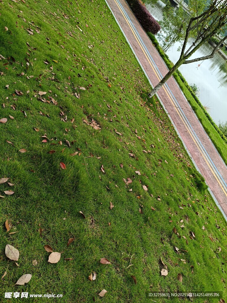 路边翠绿草地散落碎石