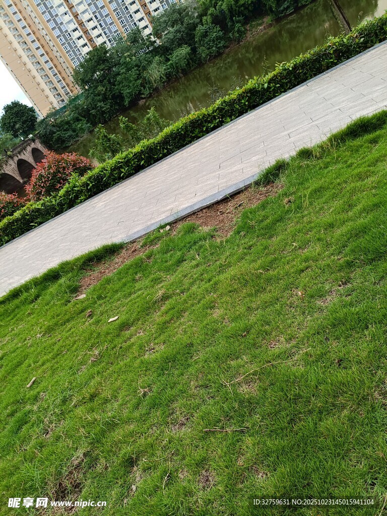 户外草坪与步道景观