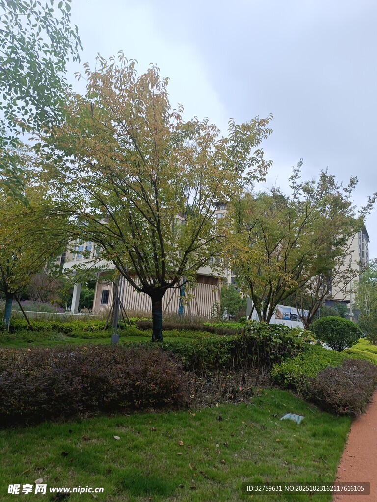 小区绿意盎然的景观小路