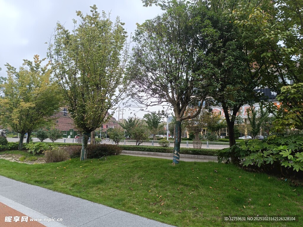 城市中的绿意盎然公园景