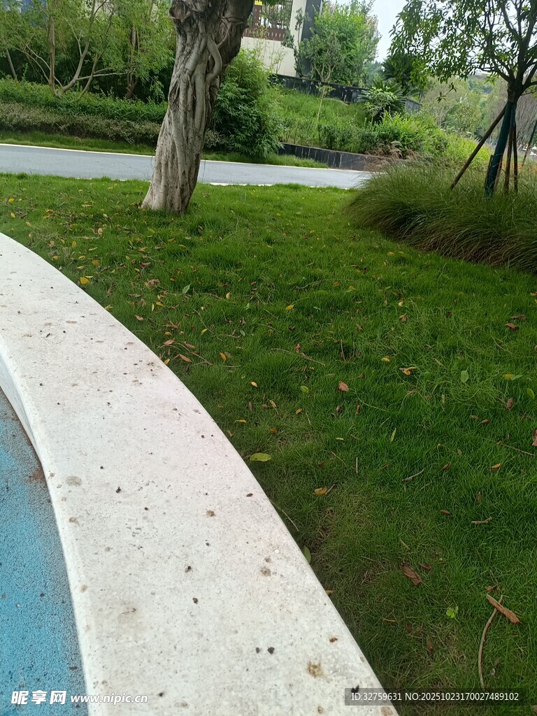 公园一角的草地与步道